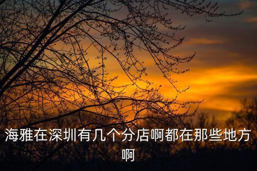 海雅在深圳有幾個(gè)分店啊都在那些地方啊