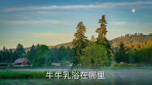 牛牛乳浴在哪里