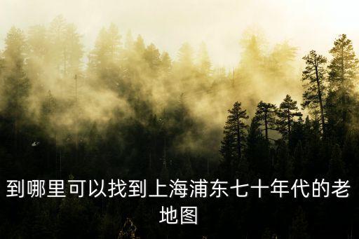 到哪里可以找到上海浦東七十年代的老地圖