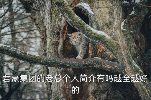 君豪集團的老總個人簡介有嗎越全越好的