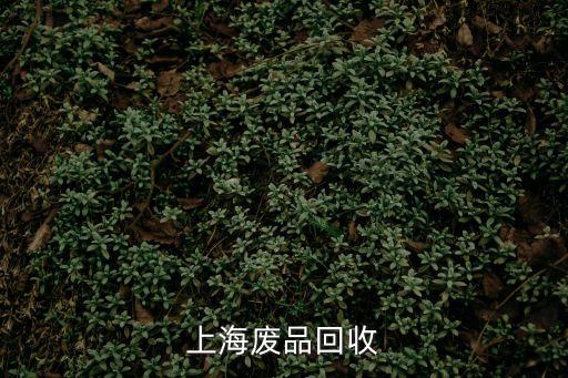 上海廢品回收
