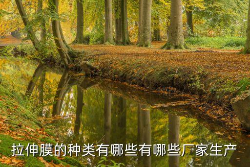 拉伸膜的種類有哪些有哪些廠家生產(chǎn)
