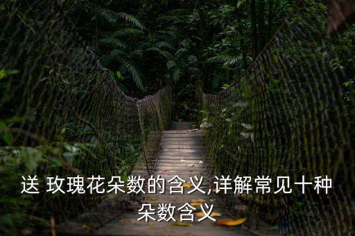 送 玫瑰花朵數的含義,詳解常見十種朵數含義