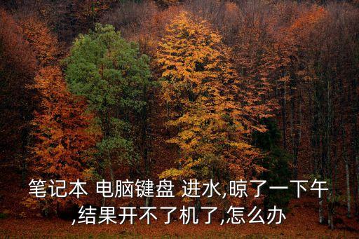 筆記本 電腦鍵盤 進水,晾了一下午,結果開不了機了,怎么辦