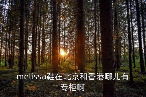 melissa鞋在北京和香港哪兒有專柜啊