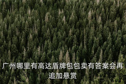 廣州哪里有高達(dá)盾牌包包賣有答案會再追加懸賞