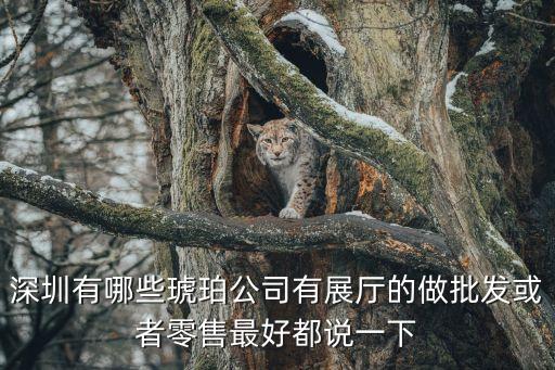 深圳有哪些琥珀公司有展廳的做批發(fā)或者零售最好都說一下