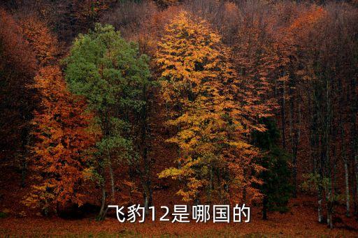深圳飛豹無人機官網，飛豹 FBC1哪國產的