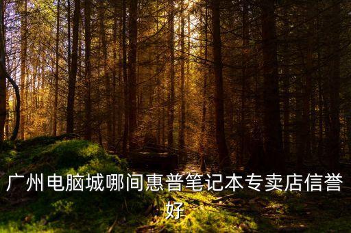 廣州電腦城哪間惠普筆記本專賣店信譽好