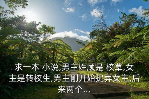 校草小說,校草與校花的愛情故事