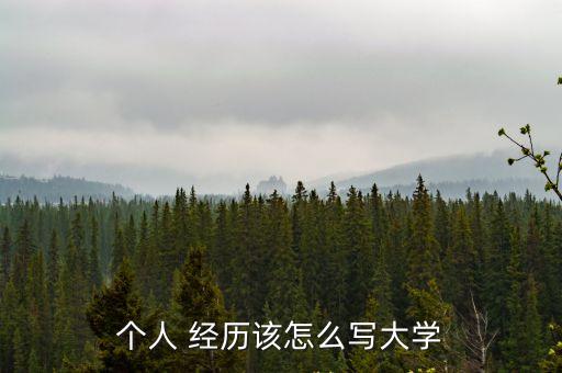 主要經歷怎么寫,幼師主要工作經歷簡歷怎么寫?