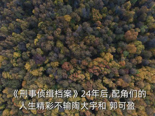 《刑事偵緝檔案》24年后,配角們的人生精彩不輸陶大宇和 郭可盈