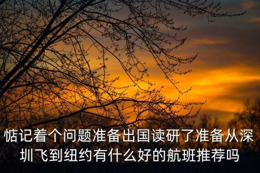 惦記著個問題準備出國讀研了準備從深圳飛到紐約有什么好的航班推薦嗎