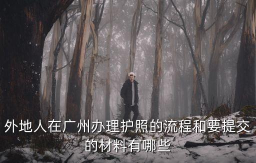 外地人在廣州辦理護(hù)照的流程和要提交的材料有哪些
