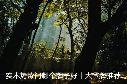 實木烤漆門哪個牌子好十大品牌推薦