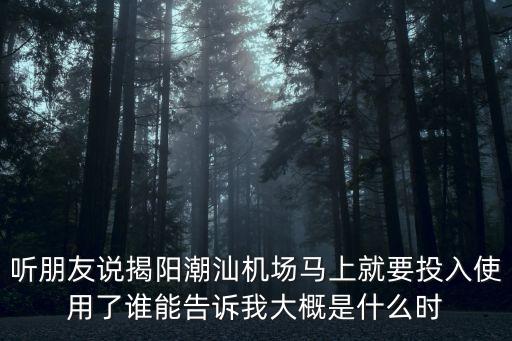 聽朋友說揭陽潮汕機場馬上就要投入使用了誰能告訴我大概是什么時