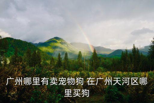 廣州哪里有賣寵物狗 在廣州天河區(qū)哪里買狗