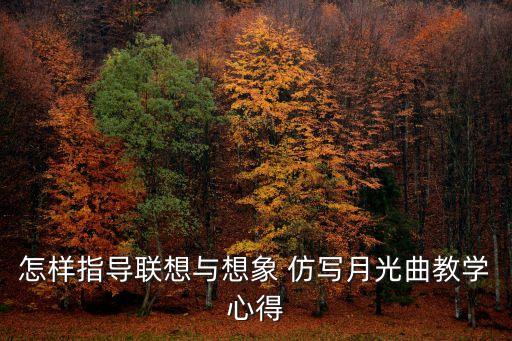 怎樣指導(dǎo)聯(lián)想與想象 仿寫月光曲教學心得