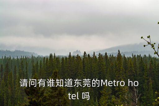 請問有誰知道東莞的Metro hotel 嗎