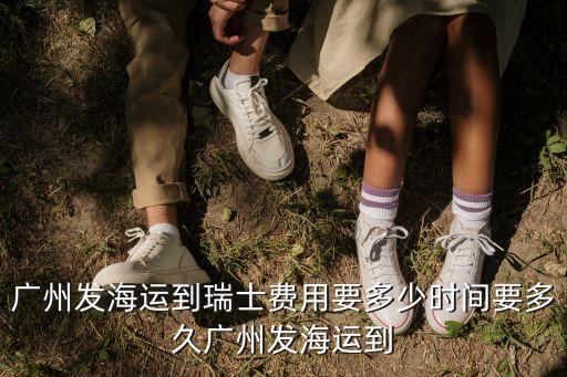 廣州發(fā)海運到瑞士費用要多少時間要多久廣州發(fā)海運到