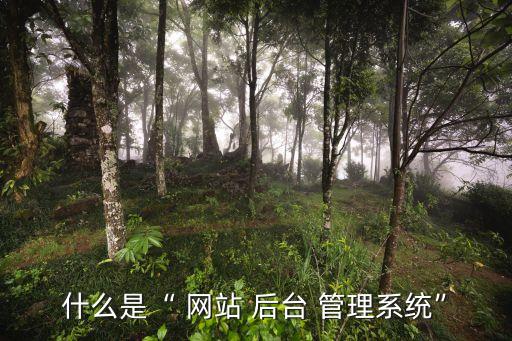 網站后臺管理,什么是網站后臺管理系統?