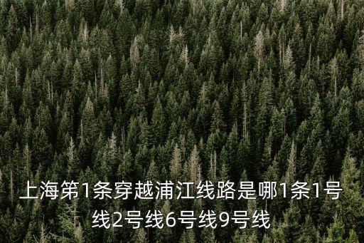 上海市浦江一路路線，上海笫1條穿越浦江線路是哪1條1號線2號線6號線9號線
