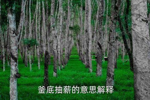釜底抽薪是什么意思,與其揚湯止沸不如釜底抽薪是什么意思