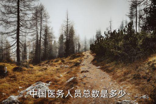 中國(guó)醫(yī)務(wù)人員總數(shù)是多少