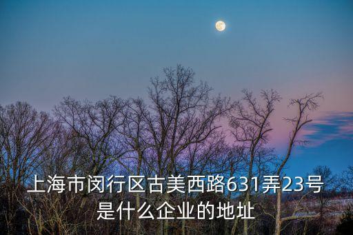 上海市閔行區(qū)古美西路631弄23號是什么企業(yè)的地址