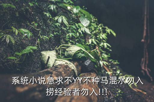 宇宙進化者系統,數碼寶貝進化者系統