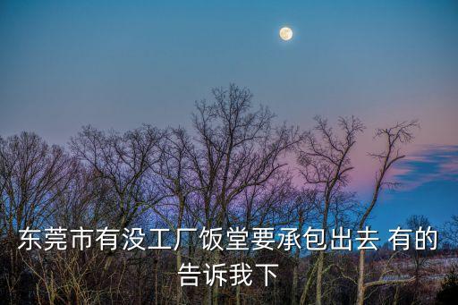 東莞市有沒工廠飯?zhí)靡邪鋈?有的告訴我下