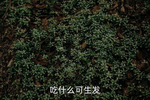 吃什么能生發，吃什么可生發