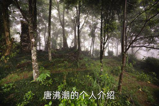 唐沸潮的個人介紹