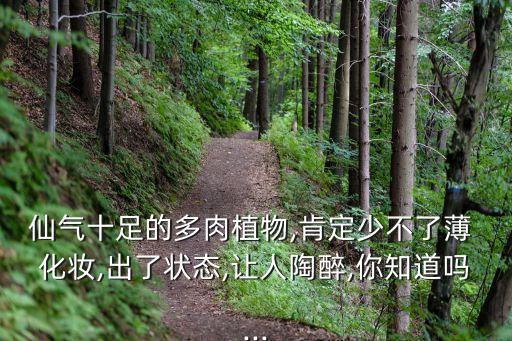 仙氣十足的多肉植物,肯定少不了薄 化妝,出了狀態,讓人陶醉,你知道嗎...
