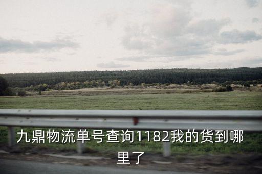 廣州九鼎物流，九鼎物流單號(hào)查詢1182我的貨到哪里了