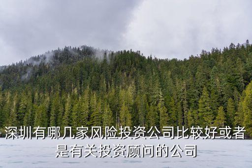 深圳有哪幾家風險投資公司比較好或者是有關投資顧問的公司