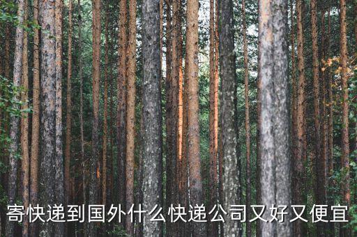 寄快遞到國外什么快遞公司又好又便宜