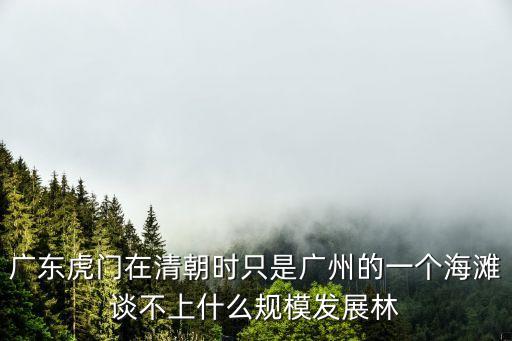 廣東虎門在清朝時只是廣州的一個海灘談不上什么規模發展林