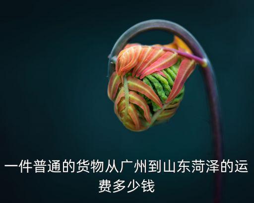 廣州到菏澤貨運公司，一件普通的貨物從廣州到山東菏澤的運費多少錢