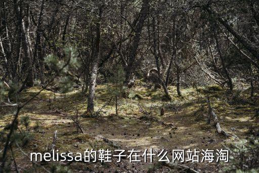梅麗莎果凍鞋深圳哪賣，melissa鞋在北京和香港哪兒有專柜啊