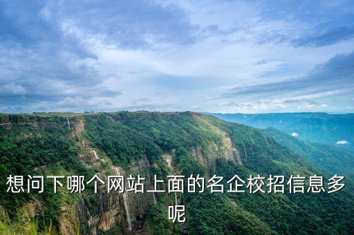 想問下哪個網(wǎng)站上面的名企校招信息多呢