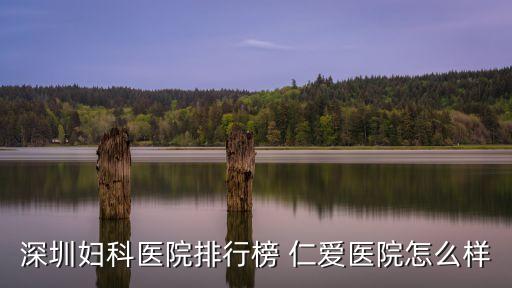 深圳婦科醫(yī)院排行榜 仁愛醫(yī)院怎么樣