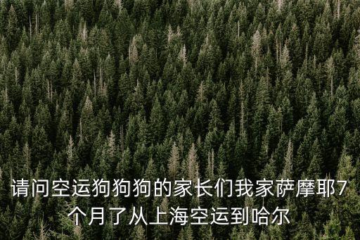 請(qǐng)問(wèn)空運(yùn)狗狗狗的家長(zhǎng)們我家薩摩耶7個(gè)月了從上海空運(yùn)到哈爾