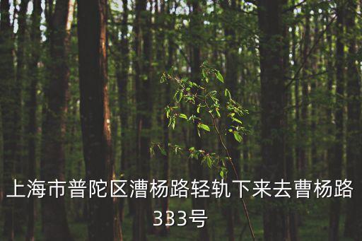 上海市普陀區(qū)漕楊路輕軌下來去曹楊路333號