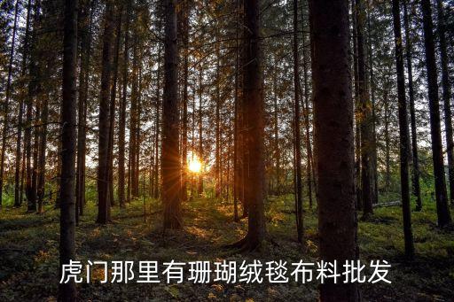 虎門那里有珊瑚絨毯布料批發