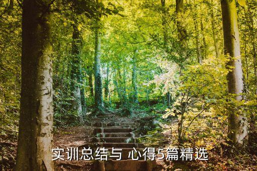  實訓總結與 心得5篇精選