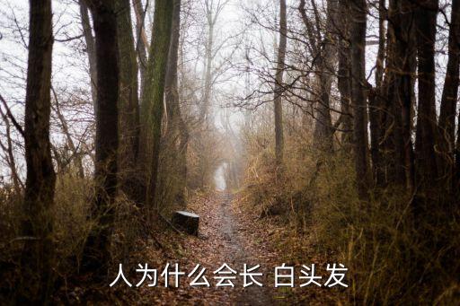 為什么長白頭發(fā),中國古代醫(yī)學家:老年人頭發(fā)變白多與腎氣有關