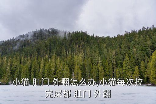 小貓 肛門 外翻怎么辦,小貓每次拉完屎都 肛門 外翻
