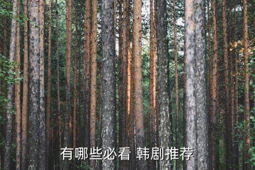 2016年韓劇,韓國《不夜城》劇情介紹