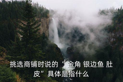 金角銀邊草肚皮,金角銀邊草肚皮怎么用?